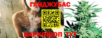 наркотики Новодвинск